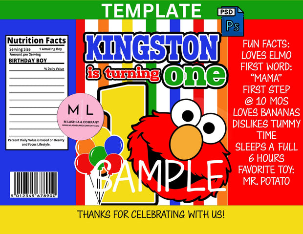 Elmo Complete Birthday Chip Bag Bundle