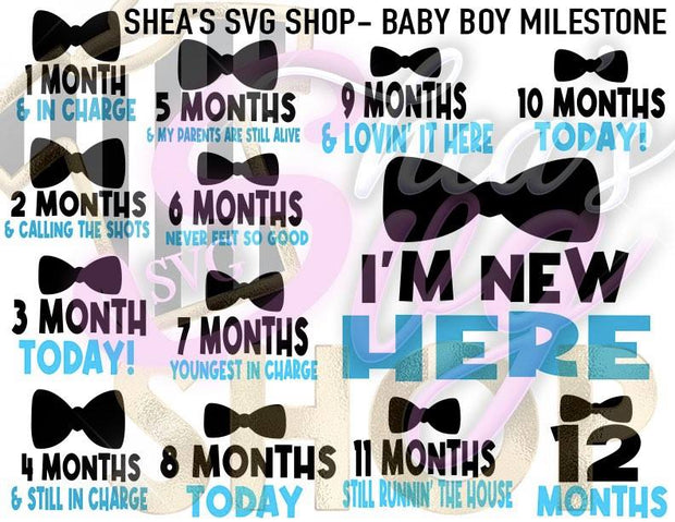 Baby Boy Milestone SVG Bundle Plus Mocks Shown